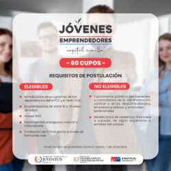 Es hora de convertir tu idea en acción: Información esencial para postular al concurso capital semilla